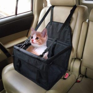 chat en voiture dans un siège housse